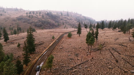 into the wild grasslands: a scenic drive into nature's heart