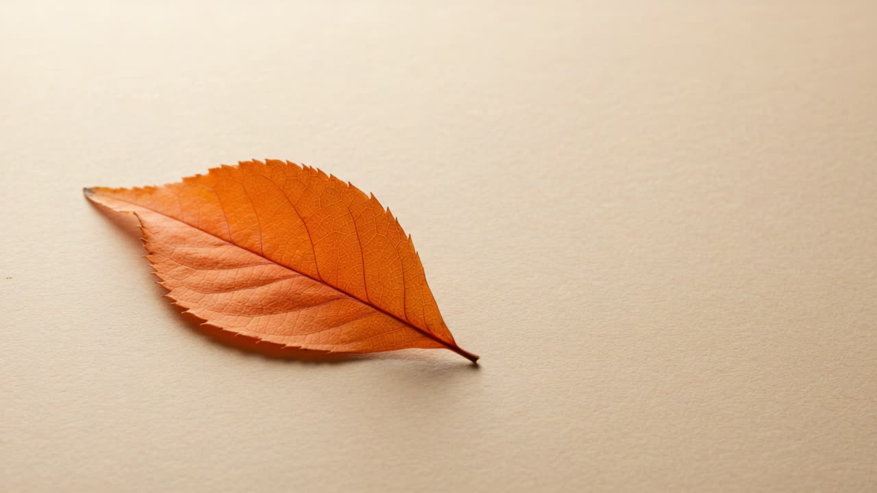 A Vibrant Orange Leaf Isolated on a Soft Beige Background, Highlighting the Beauty of Autumnal Colors and Nature's Transitional Changes in Detail