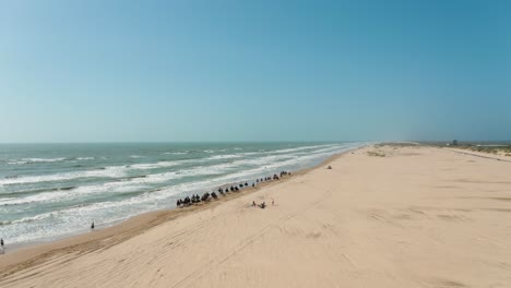 Aerial-drone-rise-up-of-group-of-trail-riders-on-horseback-on-the-beach-of-South-Padre-Island,-Texas