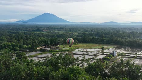 hot air balloon rising over rice fields in ubud bali at sunrise, aerial