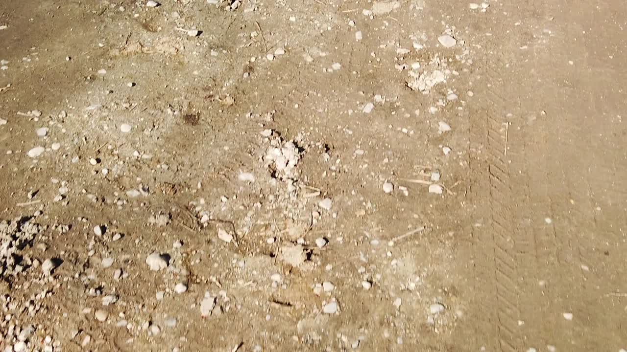 замедленная съемка прогулки по грязной дороге