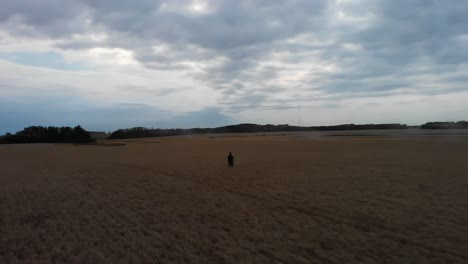 aerial shot over man standing in wheat field on the alberta prairies