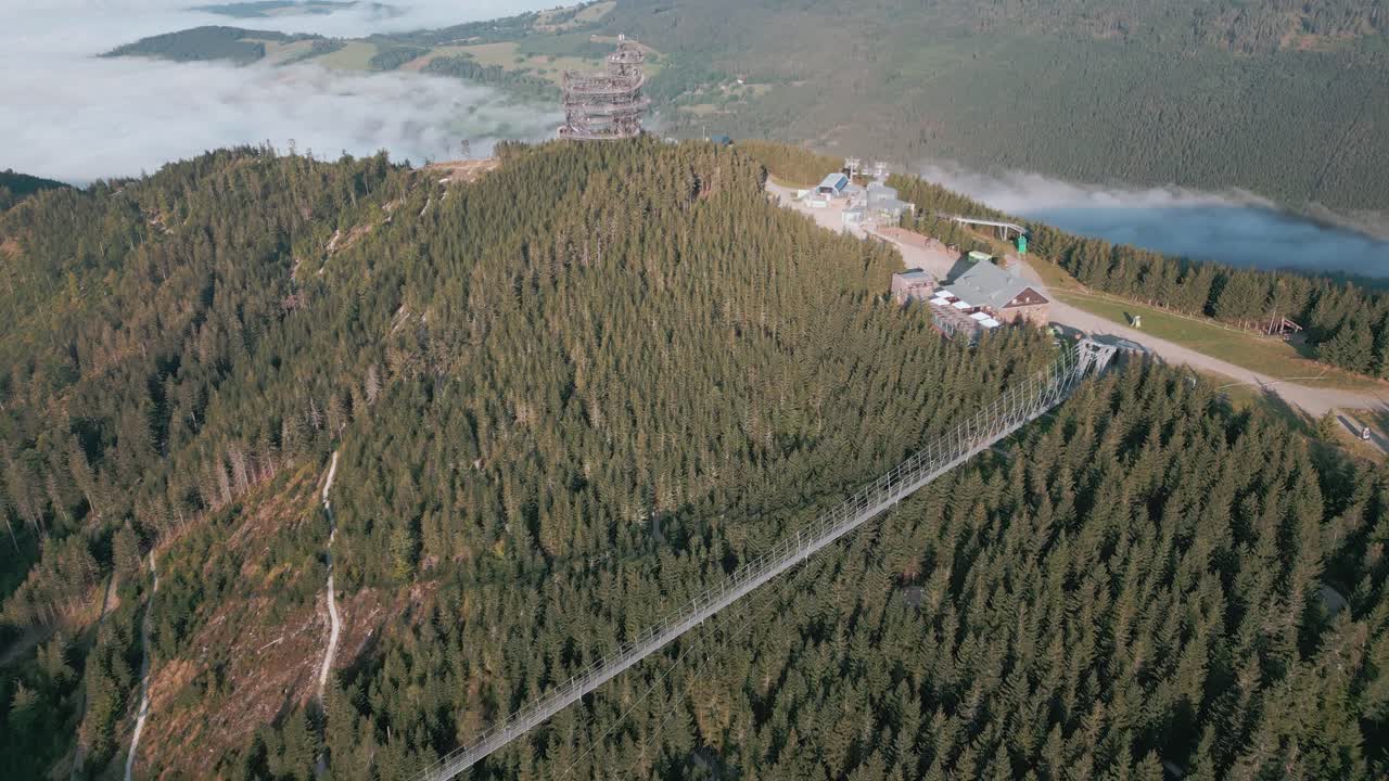 Aerial view of the sunlit lookout tower and the bridge over the valley immersed in thick fog