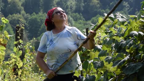 Women-working-hard-to-tender-her-garden