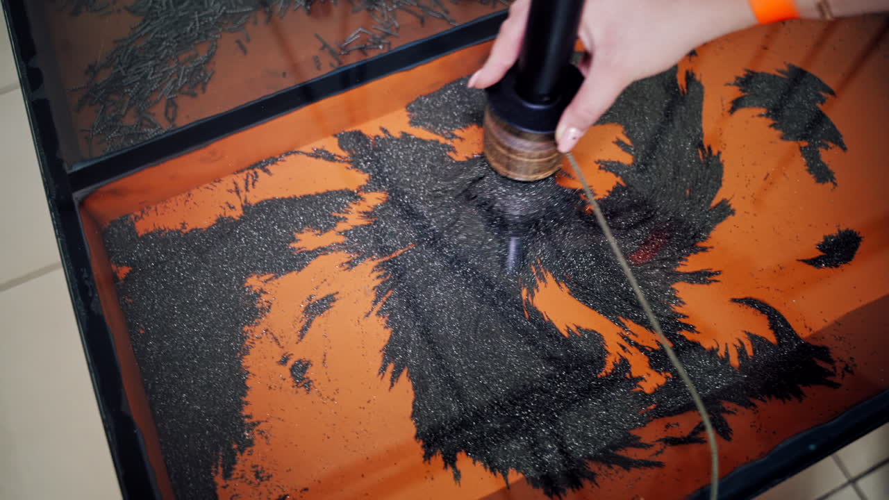 Iron powder under the influence of a magnetic field. Museum of Science