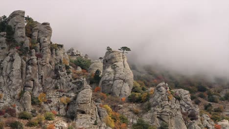 misty autumn mountain landscape