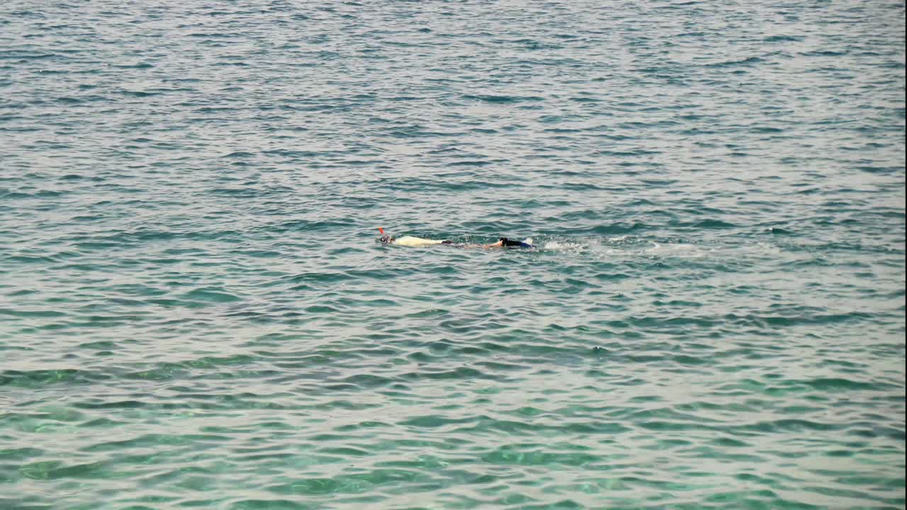 바다 표면 에서 스노클링 하는 수영자