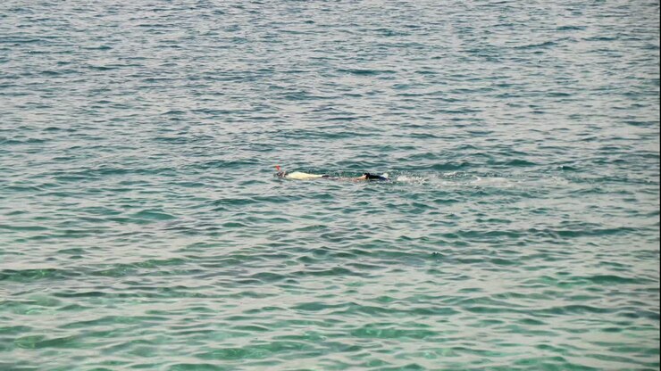 Swimmer snorkelling on the surface of the ocean