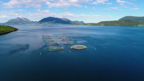 aerial footage farm salmon fishing in norway