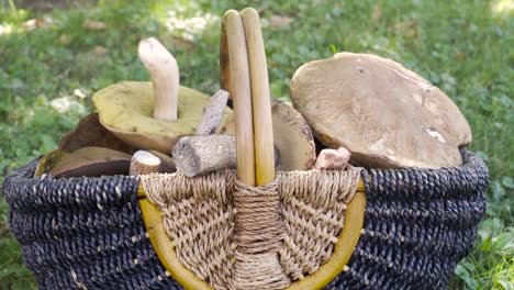 tilt up to a basket full of mushrooms