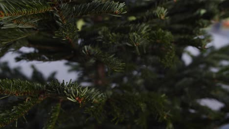 colgando burbuja dorada de navidad en el árbol de navidad luz del día 4k