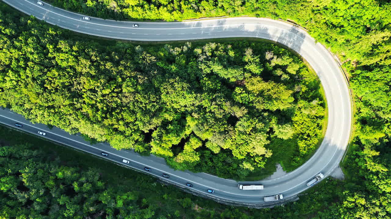 Curvy road in lush forest. A winding road cuts through a dense green forest in Europe, showcasing the vibrant landscape on a sunny day