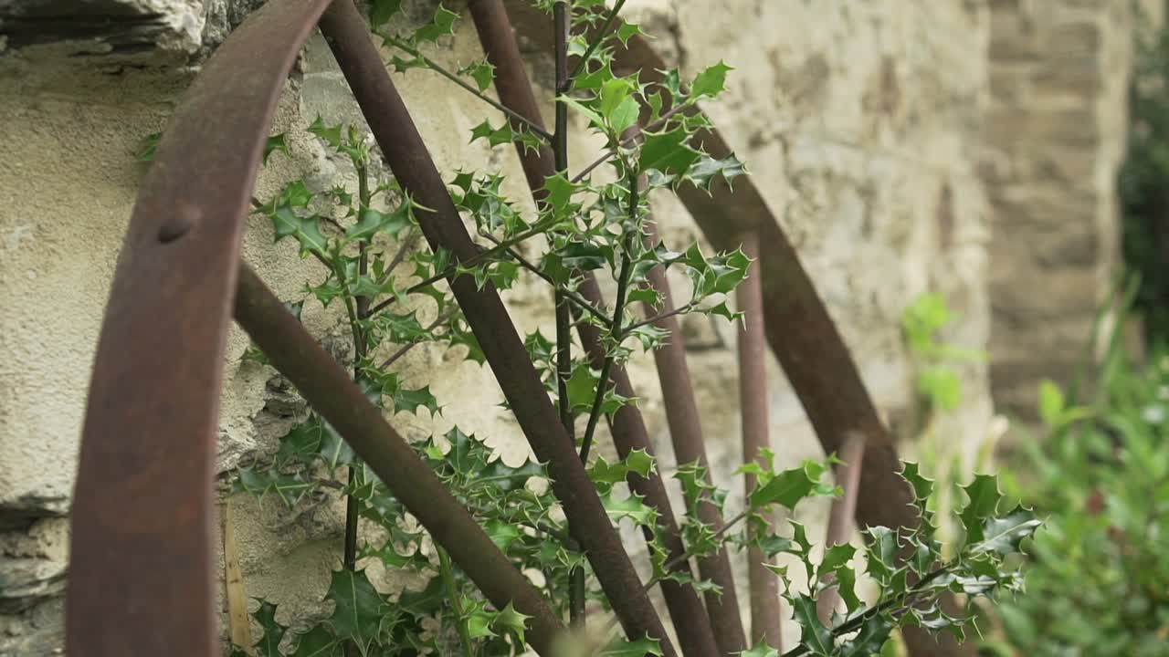 슬로우모 - 정원 에 있는 고대 빈티지 얼룩진 마차 바