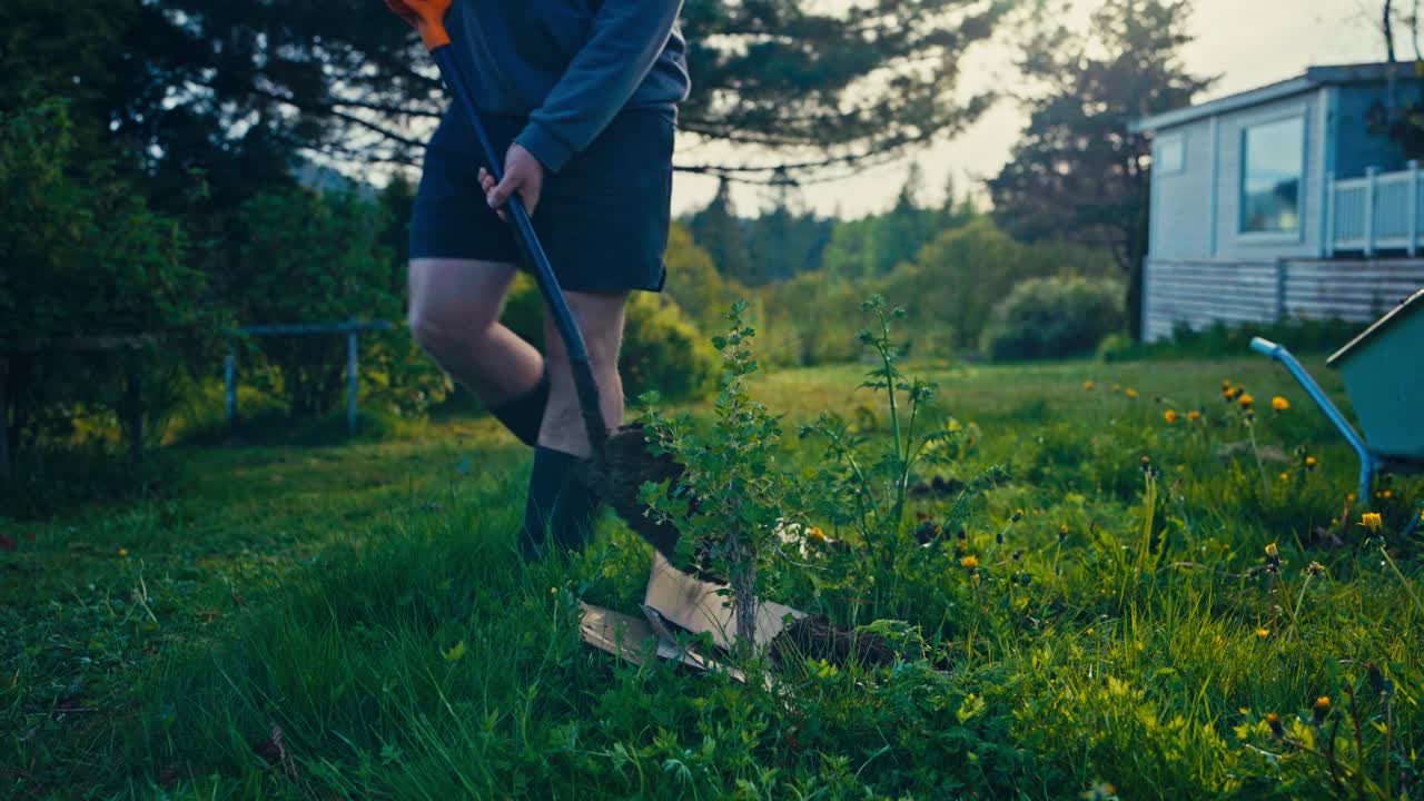 Tree Planting - Man Putting Soil In Pit - Wide Shot