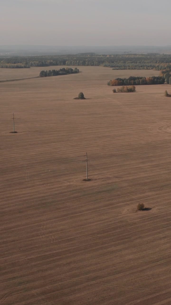Droneoptagelser af et bredt landligt landbrugslandskab med høstede marker, spredte træer og elmaster, rolige efterårsfarver og en fjern skovlinje.