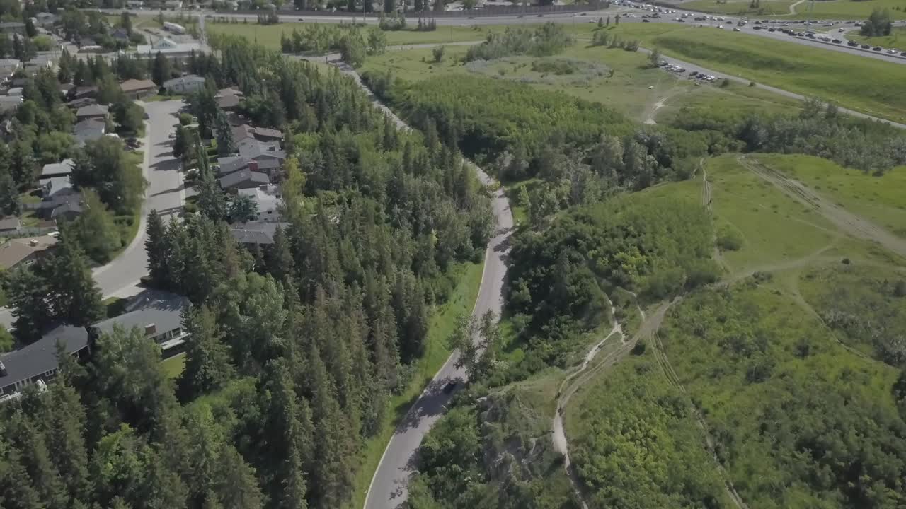 tráfico escaso en una carretera de un parque urbano