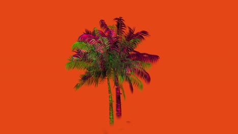 colorful palm tree 4k
