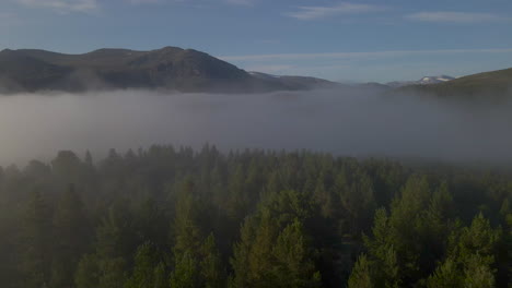 drone flying through fog over a forest in the mountains of norway