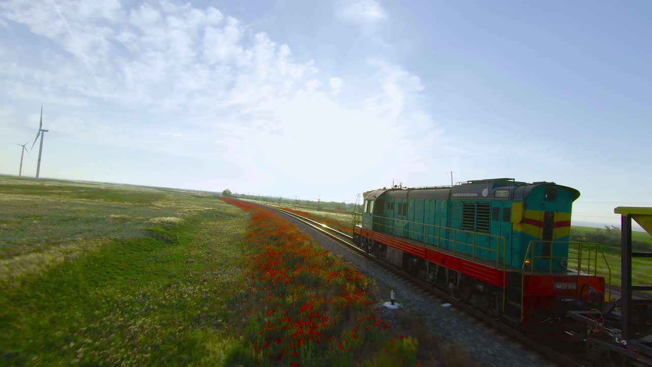 tren pasando por un campo de amapolas