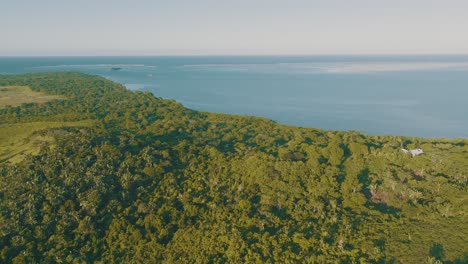 panoramic aerial shot of tropical forest in madagascar