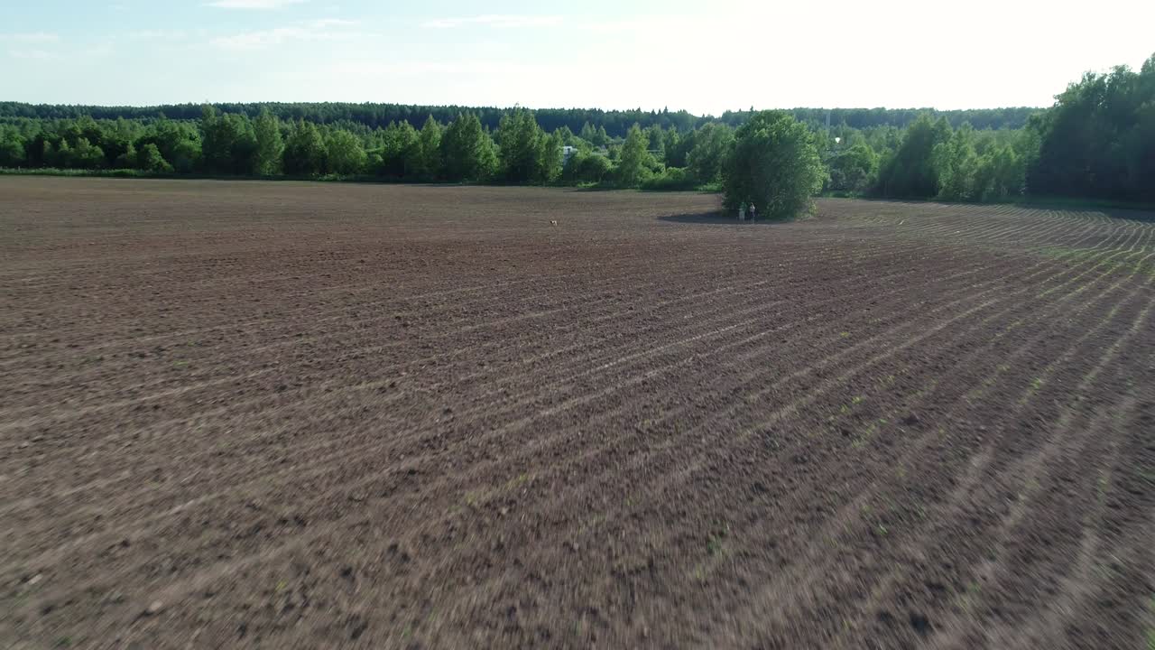 Schönes kleines Dorf nahe einem landwirtschaftlichen Feld in einem schönen grünen Wald