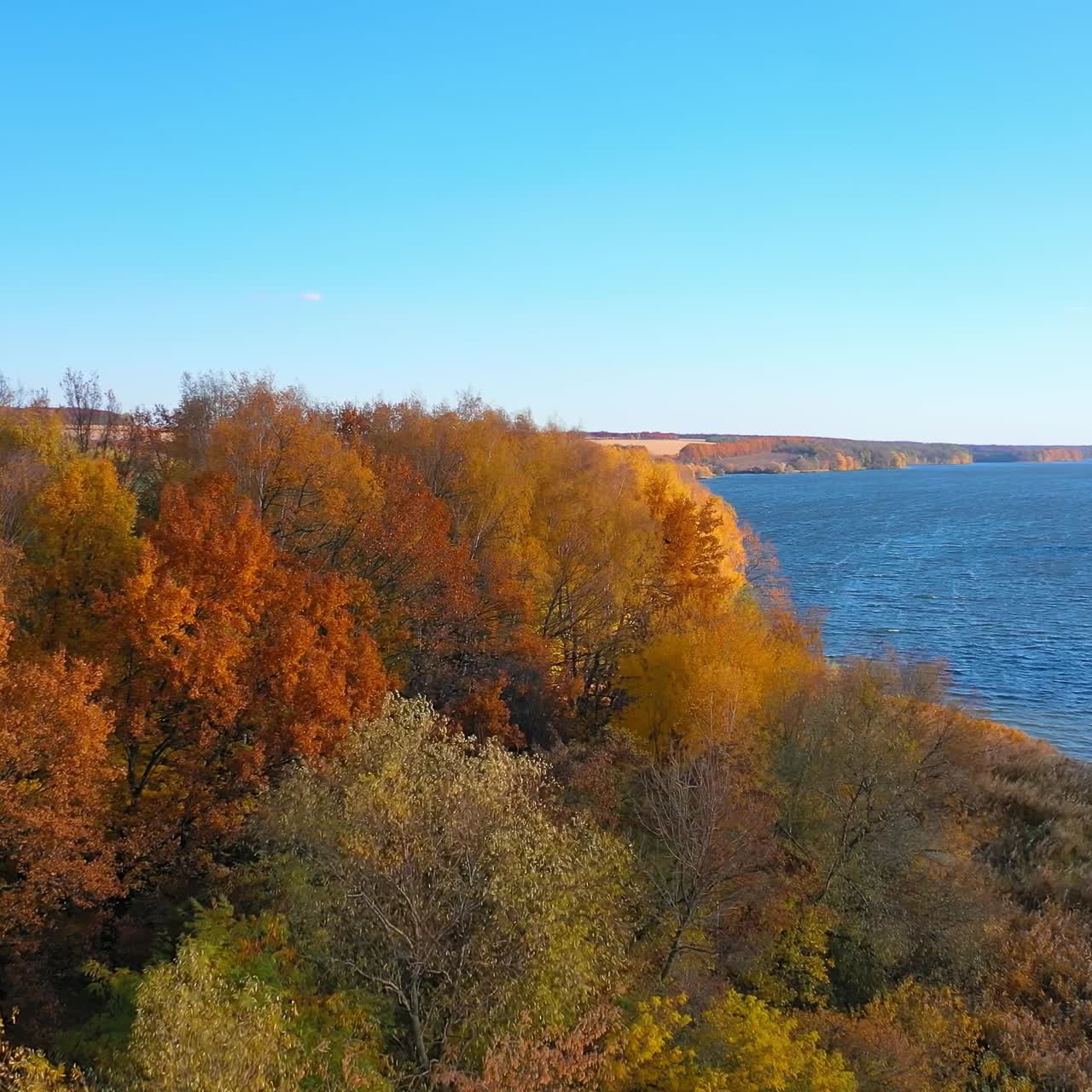 Amazing golden trees near blue lake. Beautiful autumn scenery under clear sky. Wide blue river in the countryside