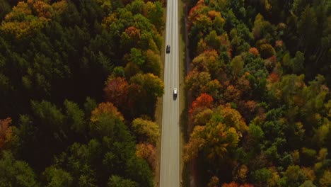 autumn colors: look up aerial shot from following a driving car with oncoming traffic at a sunny day in fall, up to the bright horizon with mountains and a little city at the end of the straight road