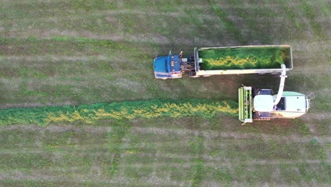 aerial view of hay harvest