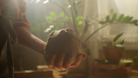 woman tending to houseplants in a sunny home