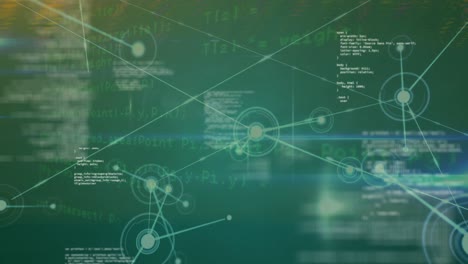 animación de la red de conexiones a través del procesamiento de datos