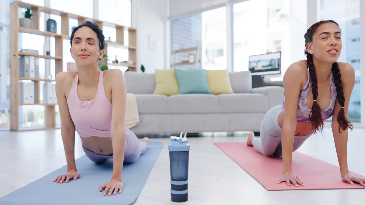 명상, 요가 또는 수업에서 스트레칭하는 여성