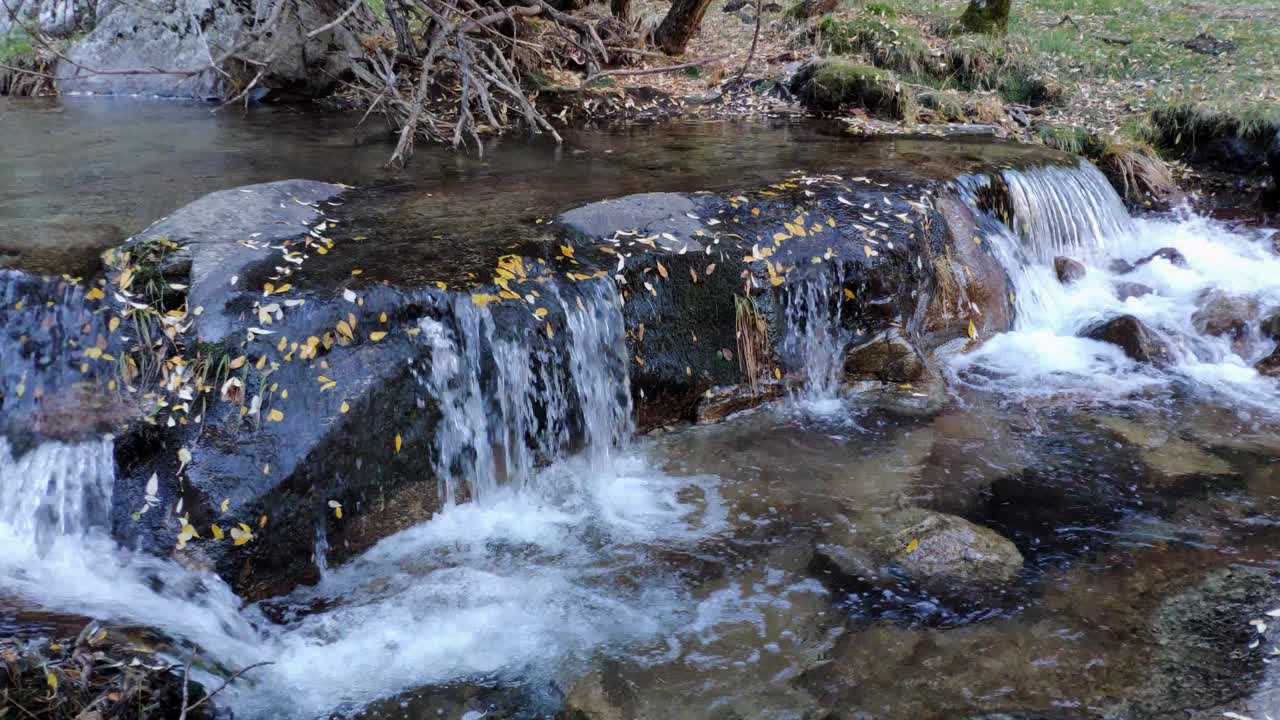 얕은 물이 풍부한 작은 강에 작은 폭포