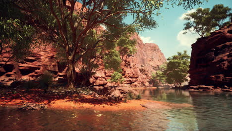 Spiegelung-Im-Colorado-River-Im-Grand-Canyon