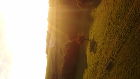 Vertical-drone-shot-sunset-in-England-evening