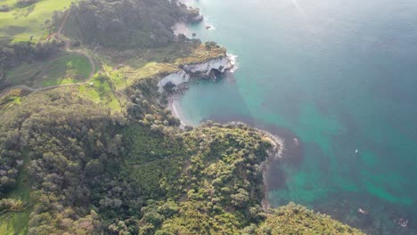 aerial view of cathedral cove, new zealand