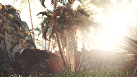 hermoso atardecer en el paraíso tropical