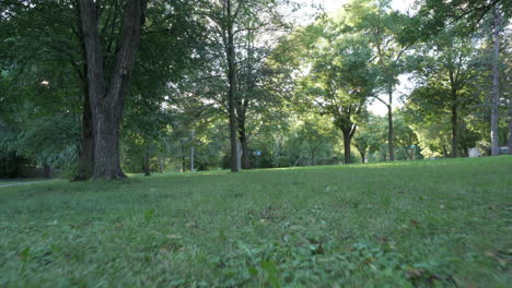 Girl-throwing-frisbee-in-a-park-and-running-past-camera