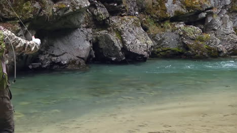 trout fly fishing in mountain river at summer