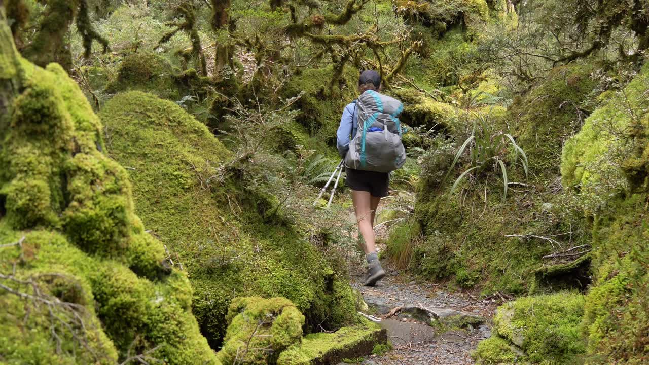 pan, mujeres excursionistas camina a través del bosque de fiordland cubierto de musgo, routeburn track nueva zelanda