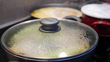 cooking on a stovetop