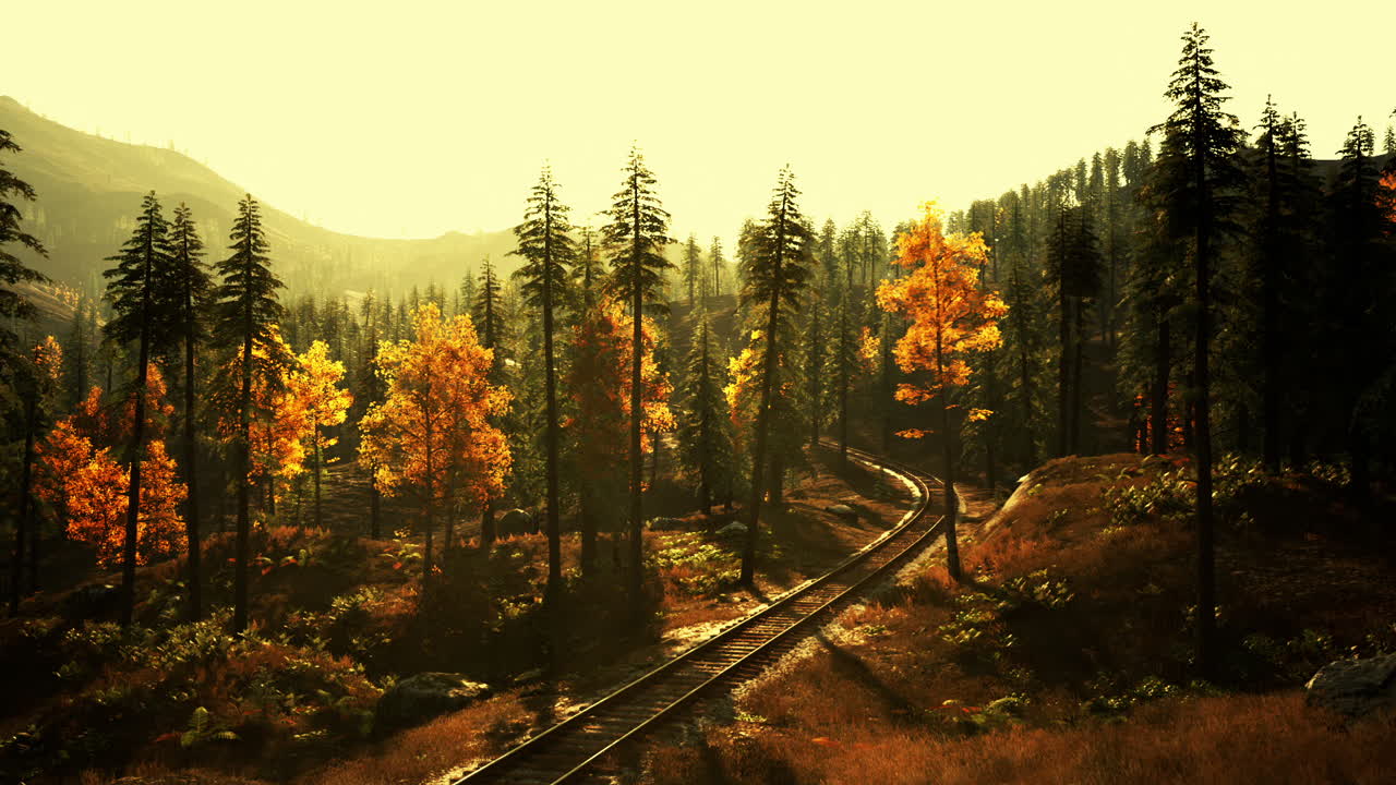 가을 에 숲 을 가로질러 휘어지는 경치 좋은 철도 트랙