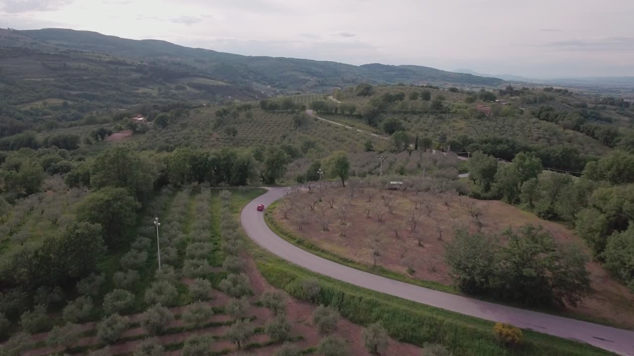 Aerial Drone shot Red Car Drives through Windiwng Road and Olive Groves in Umbria, Italy