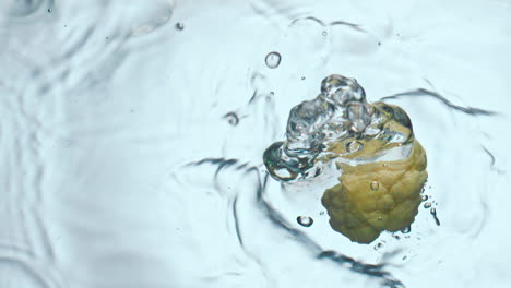 fresh cauliflower piece splashing liquid in super slow motion close up.