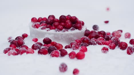 arándanos congelados en la nieve