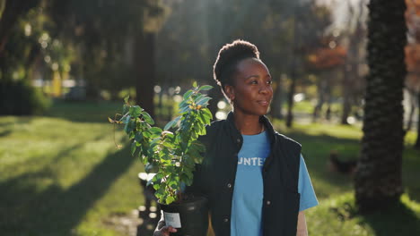 volunteer planting a tree in a park