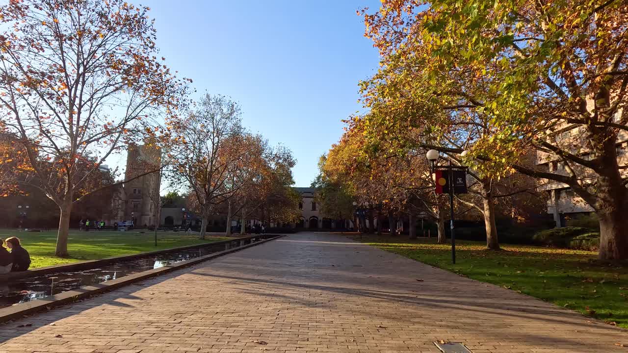 estudiantes caminando y relajándose en el campus