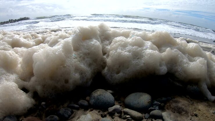 Algae foam in storm on the beach, sandy beach with waves, North Sea, Jütland, Sondervig, Denmark, 4K