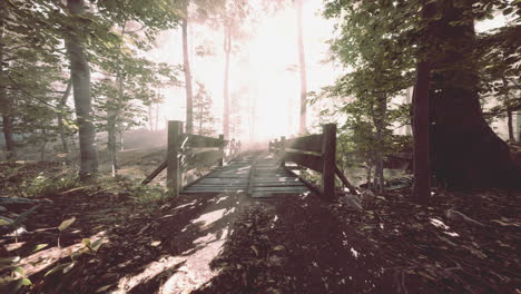 mystical old wooden bridge in the fog