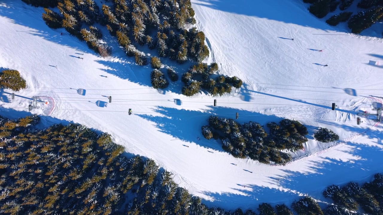 Winter sports take place on snowy slopes. People are skiing and snowboarding on snow-covered hills in a forested area during a bright winter day.