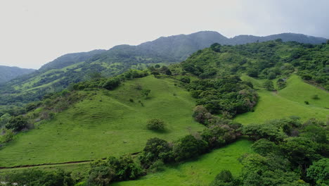 rising aerial in rural mountain region costa rica with birds flying overhead, 4k